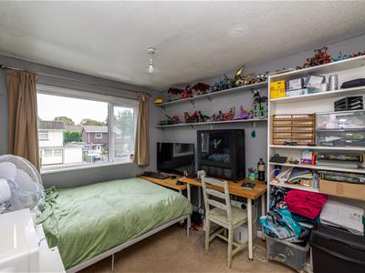 Picture 14